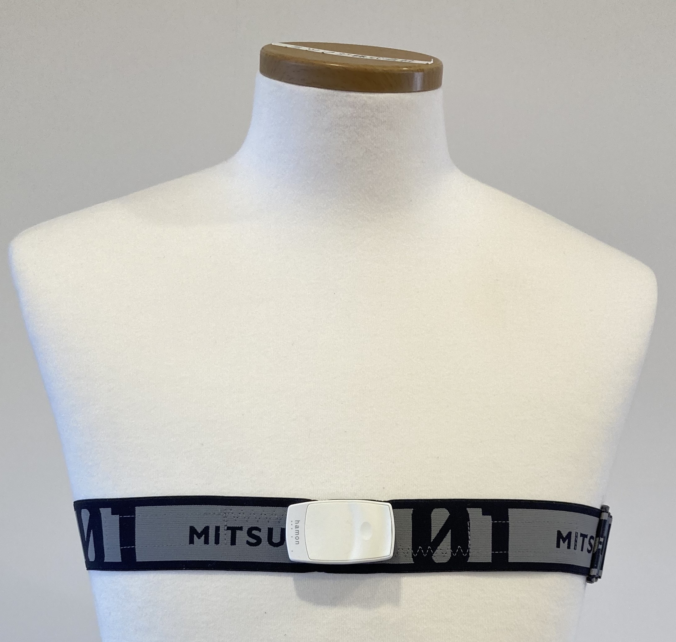 <div class='lum-box'><h4 class='fontColor_blue lum-font-size'>MITSUFUJI 01</h4></div><div class='lum-font-cnt'>世界初、体動ノイズを大幅に減少させる胸ベルト型ウェアラブルセンサー
最先端センシング技術は「治療」から「予防」へ</div>