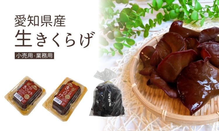<div class='lum-box'><h4 class='fontColor_blue lum-font-size'>愛知県産　生きくらげ</h4></div><div class='lum-font-cnt'>■愛知県産、無農薬栽培、ASIAGAP・JGAP認証
■小売用、業務用　両対応
■温湿度の適度な変化のあるビニールハウス栽培で、肉厚で大ぶりなものが多い
■2020年夏 NHK『ためしてガッテン！』で放送。番組スタッフに「全国で最も美味しい」と選ばれる。</div>