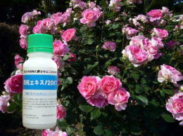 <div class='lum-box'><h4 class='fontColor_blue lum-font-size'>月桃エキス120KT</h4></div><div class='lum-font-cnt'>植物由来成分による園芸資材。ウドンコ病、クロホシ病の予防効果がある。バラ栽培を行っている顧客層に好評である。菌に起因鶴病気（灰色カビ病、さび病、菌核病など）の予防効果もある。</div>