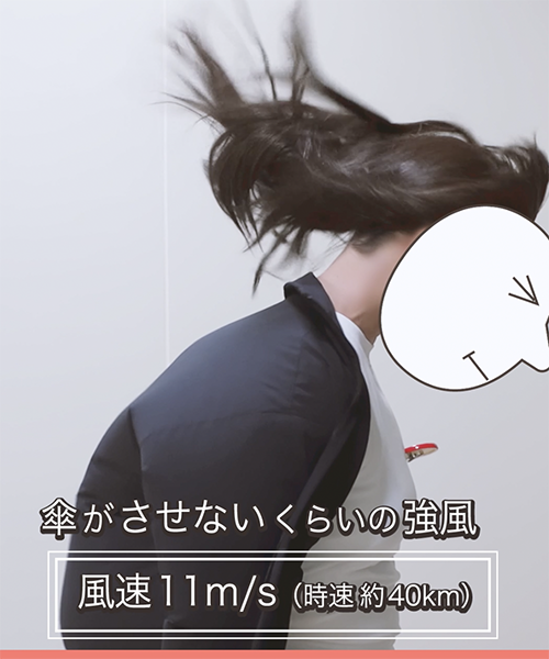 <div class='lum-box'><h4 class='fontColor_blue lum-font-size'>SPORTSWIG®︎</h4></div><div class='lum-font-cnt'>スポーツもアップスタイルも楽しめる、高機能なウィッグ、SPORTSWIG®︎をスポーツウェアの技術を用いて独自開発。</div>