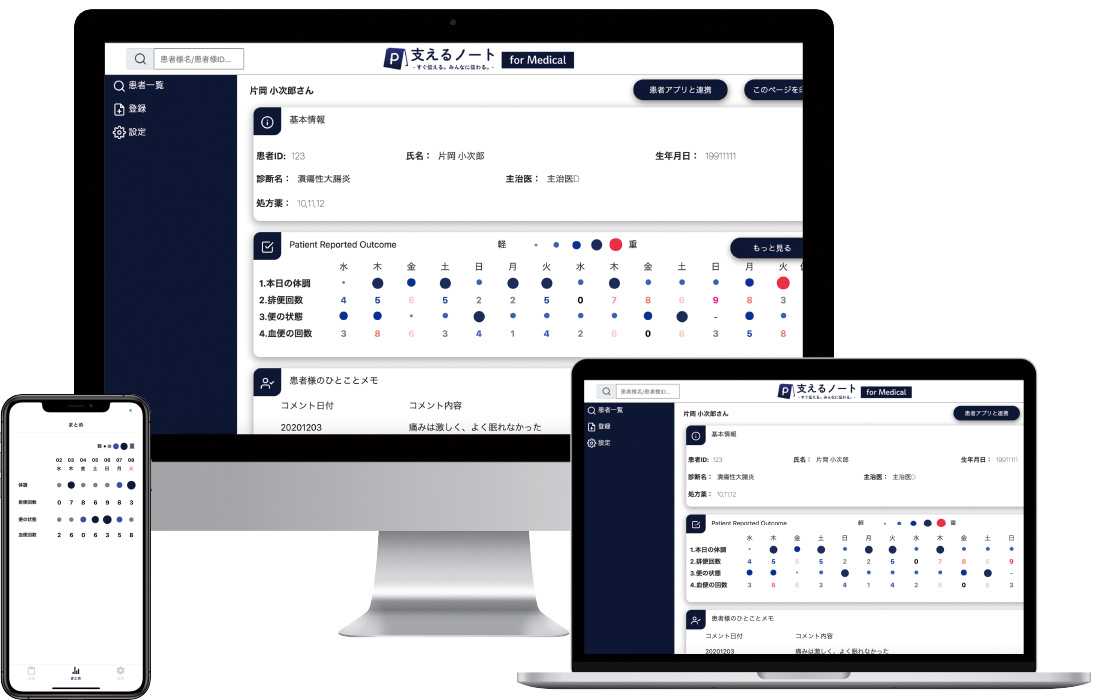 <div class='lum-box'><h4 class='fontColor_blue lum-font-size'>支えるノート　e-pro｜PHR</h4></div><div class='lum-font-cnt'>患者様用のスマートフォンアプリと医療従事者専用の閲覧システムを連結することで、
在宅環境でも患者が報告する健康状態を医療従事者が把握できるようにするものです。</div>
