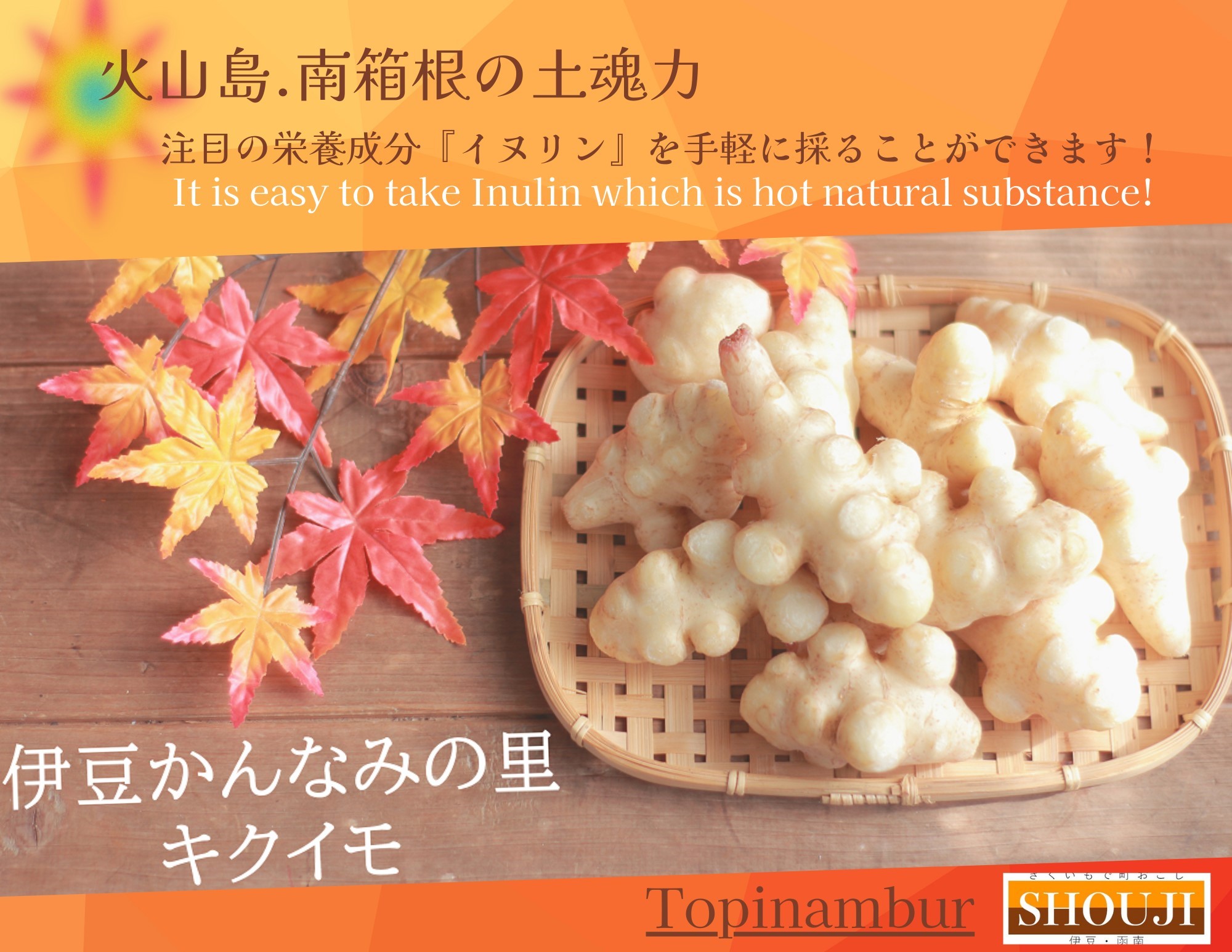 <div class='lum-box'><h4 class='fontColor_blue lum-font-size'>きくいもを使用した加工食品</h4></div><div class='lum-font-cnt'>㈱SHOUJI様の出展です。便通を整え、体に優しい静岡県産自社栽培の「きくいも」を使用し、食べやすい粉末スープやおせんべいにしました。</div>
