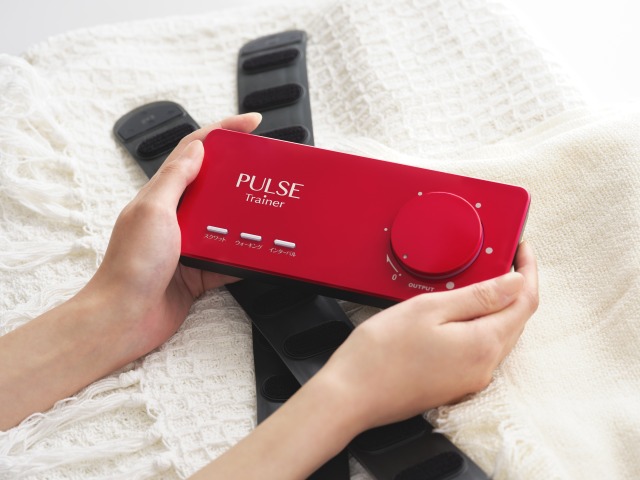 <div class='lum-box'><h4 class='fontColor_blue lum-font-size'>PULSE Trainer</h4>
         </div>
         