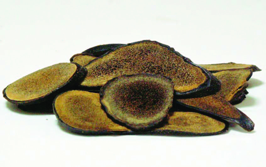 <div class='lum-box'><h4 class='fontColor_blue lum-font-size'>Deer Antler Velvet powder</h4>
         </div>
         <div class='lum-font-cnt'>Powdered antlers from deer raised and managed by our company. Can be used in supplements.</div>