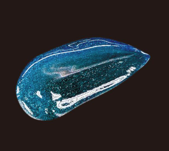 <div class='lum-box'><h4 class='fontColor_blue lum-font-size'>抗シワ・美白ジェル【医薬部外品】</h4></div><div class='lum-font-cnt'>有効成分に「ナイアシンアミド」を5％配合した医薬部外品対応のジェルです。薬用シワ改善
ジェルとして、シワの改善だけなく、メラニン色素による色素沈着を改善する作用もあります。
液晶がキラキラと輝くジェルで、お肌の気になる部分にハリを与えてピンっと引き上げます。</div>