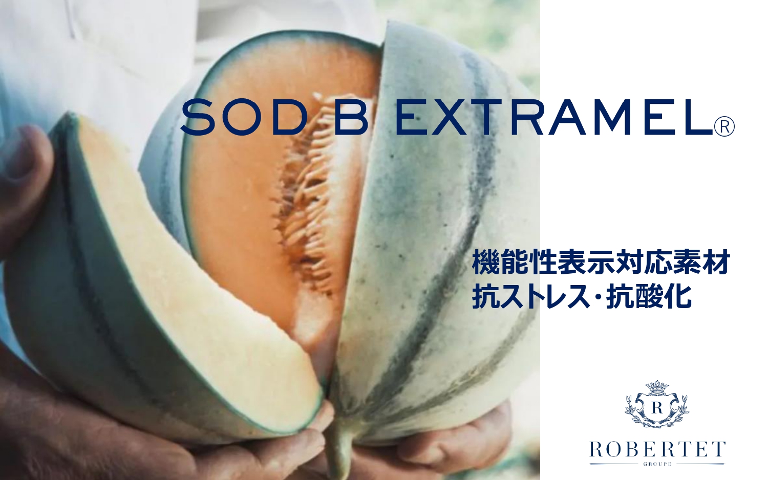 <div class='lum-box'><h4 class='fontColor_blue lum-font-size'>SOD B EXTRAMELⓇ（エクストラメル）</h4></div><div class='lum-font-cnt'>現代はストレス社会といわれる。その主要因の一つが、酸化/抗酸化バランスの乱れ、つまり酸化ストレスだ。 メロン由来の抗酸化酵素『SOD B EXTRAMEL®』は、特に抗ストレス領域ですぐれた効果があり、機能性表示を取得し、注目度が高まっている。</div>