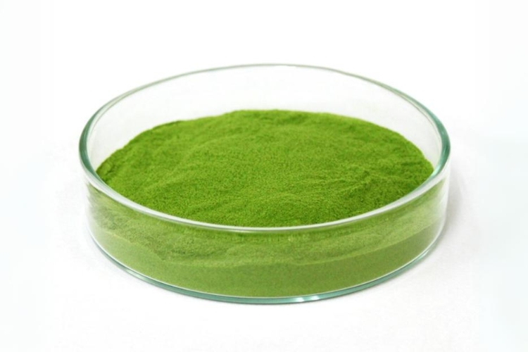 <div class='lum-box'><h4 class='fontColor_blue lum-font-size'>Barley grass juice powder HS</h4></div>
        	 <div class='lum-font-cnt'>Barley belongs to the grass family and its young leaves are rich in chlorophyll, vitamins, minerals and antioxidants. We discovered the usefulness of it and launched the premier product using the young barley grass juice in 1969. Young barley grass juice powder HS suits for an ingredient in Aojiru products, dietary supplements and various foods.</div>