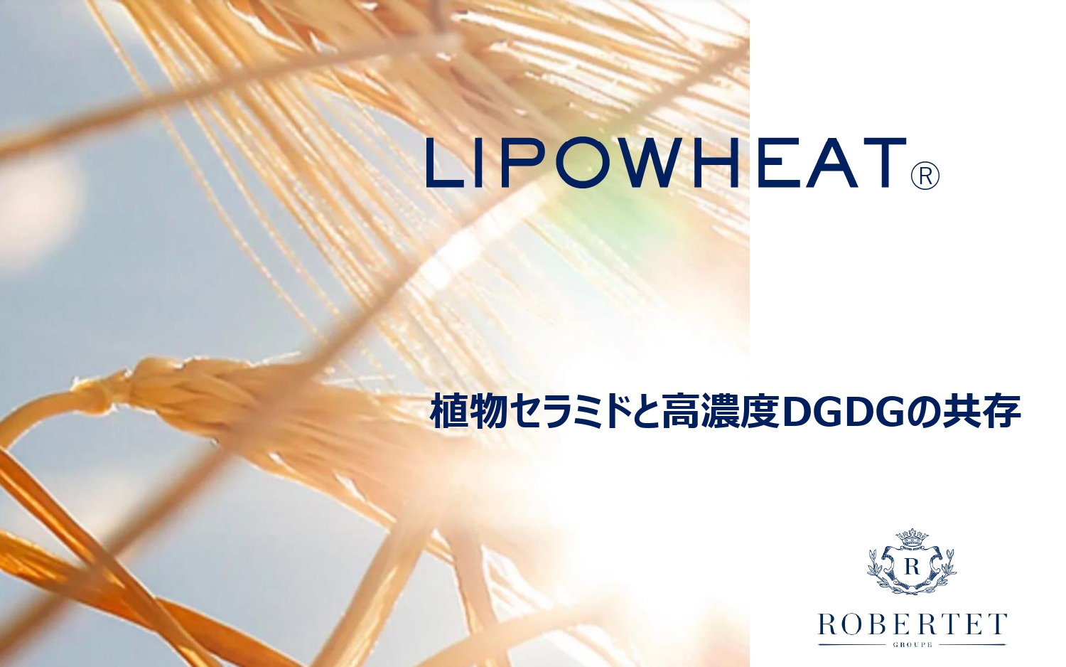 <div class='lum-box'><h4 class='fontColor_blue lum-font-size'>LIPOWHEAT® （ リポウィート）</h4></div><div class='lum-font-cnt'>・植物性セラミド＋DGDGが保湿（しわの深さ改善）　・その多重エマルション特性により特有なテクスチャをもたらす　　・掻痒感と発赤を軽減　・明るく健康な肌へ　・敏感肌に柔軟感と快適性を　</div>