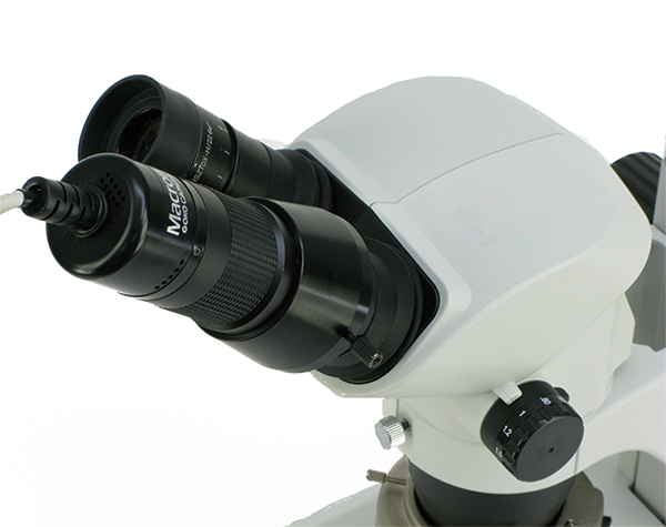 <div class='lum-box'><h4 class='fontColor_blue lum-font-size'>MVC-Direct USB</h4></div>
        	 <div class='lum-font-cnt'>Transform your existing microscope into a crystal-clear digital microscope! Achieve high-class image quality with outstanding optical performance. UVC-compatible, no driver installation required. Compatible with most microscopes with JIS standard eyepiece tubes. No need for a camera-mounted trinocular tube. Enjoy observations with the familiar field of view as with the naked eye, offering approximately 3-5 times the traditional wide field of vision.</div>