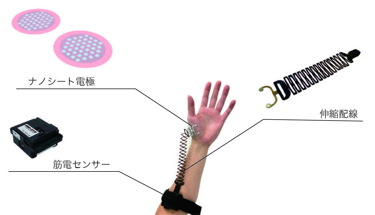 <div class='lum-box'><h4 class='fontColor_blue lum-font-size'>筋電計測スターターキット</h4></div><div class='lum-font-cnt'>弊社オリジナルの電極と伸縮配線の特徴を生かし、ジーリンクス株式会社製筋電センサーを組み合わせ、筋電計測デバイスとして測定できるスターターキットをご用意しました。</div>