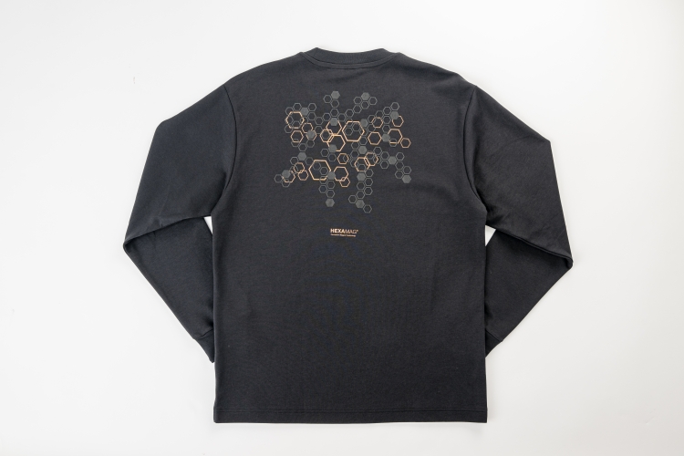 <div class='lum-box'><h4 class='fontColor_blue lum-font-size'>[Home-Use Permanent Magnet Magnetic Therapy Device] — HEXAMAG</h4>
         </div>
         <div class='lum-font-cnt'>A wearable magnetic therapy device featuring a smart design with strategically printed magnets, blending seamlessly into everyday life.
The powerful 180 mT magnetic field improves blood circulation and relieves muscle stiffness.
(Medical Device Certification Number :307AKBZX00047000)</div>