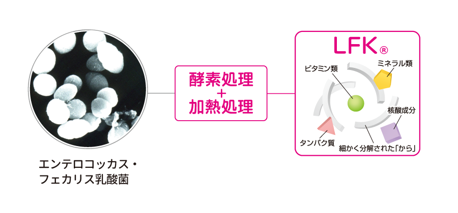 <div class='lum-box'><h4 class='fontColor_blue lum-font-size'>heat-treated, enzyme-treated, postbiotic(postbiotics) LFK</h4></div>
        	 	<div class='lum-font-cnt'>LFK is a unique substance produced by breaking down the cell walls of lactic acid bacteria.  Inside the hard cell walls of lactic acid bacteria are nucleic acids, minerals, vitamins, and proteins.
LFK is processed by enzymatically dissolving this cell wall so that the active ingredients inside the bacteria
can work more efficiently.</div>