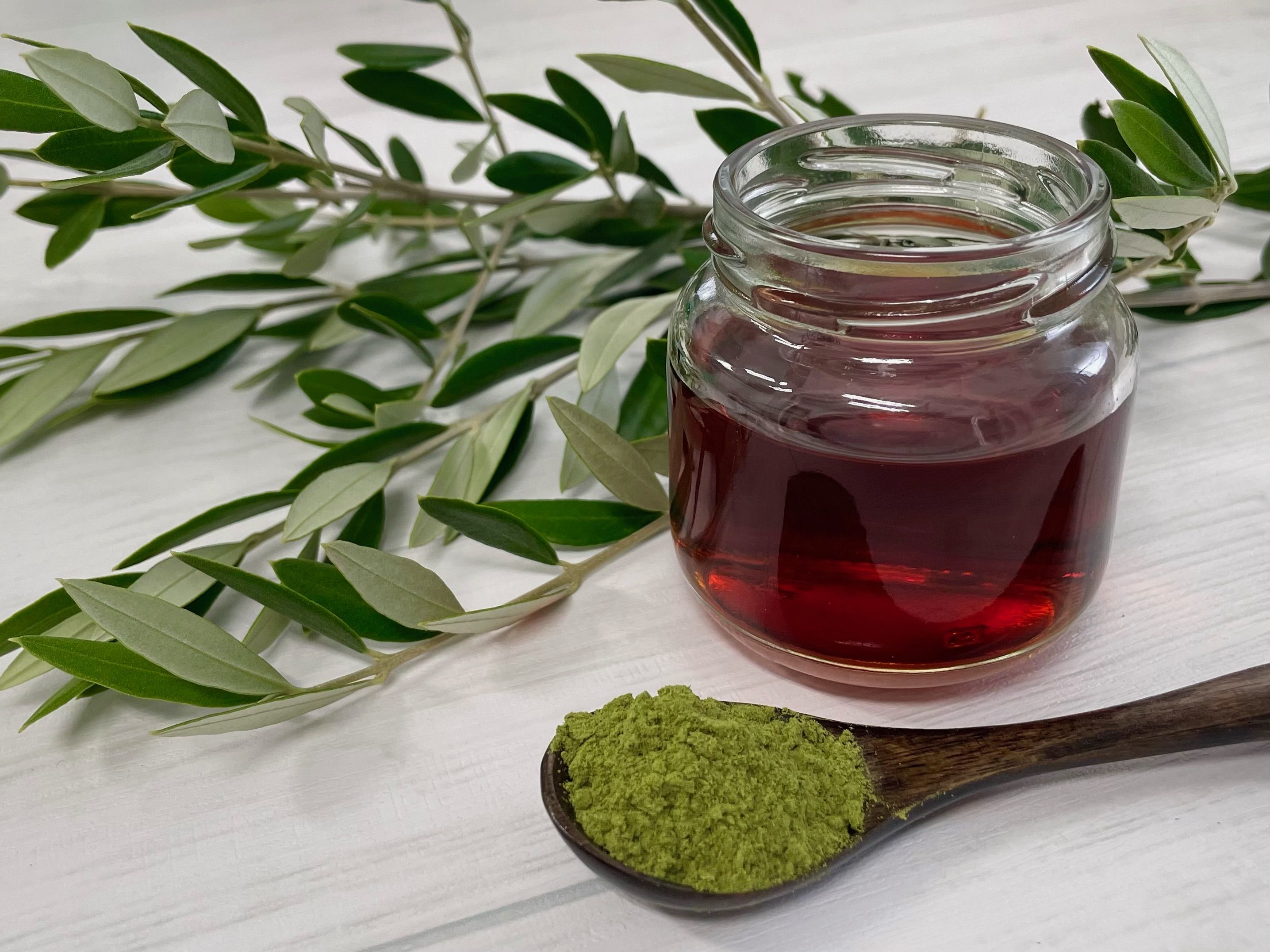 <div class='lum-box'><h4 class='fontColor_blue lum-font-size'>オリーブ葉エキス</h4></div><div class='lum-font-cnt'>これまで不要なものとして処分、あるいは利用されてされていなかった葉を資源として活用したエキスです。
機能性表示食品として受理実績がございます。</div>