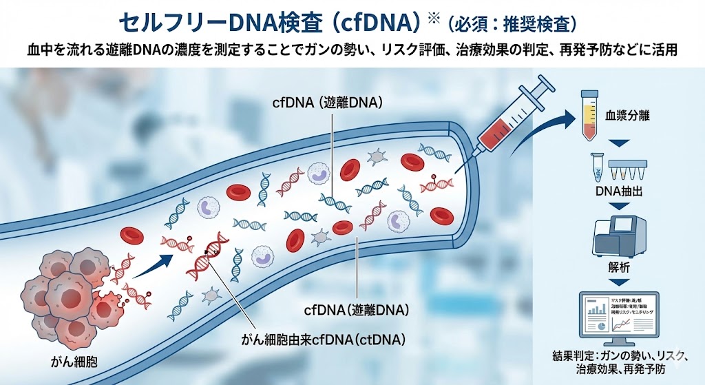 <div class='lum-box'><h4 class='fontColor_blue lum-font-size'>セルフリーDNA検査（cfDNA）※（必須：推奨検査）</h4></div><div class='lum-font-cnt'>血中を流れる遊離DNAの濃度を測定することでガンの勢い、リスク評価、治療効果の判定、再発予防などに活用されます。</div>