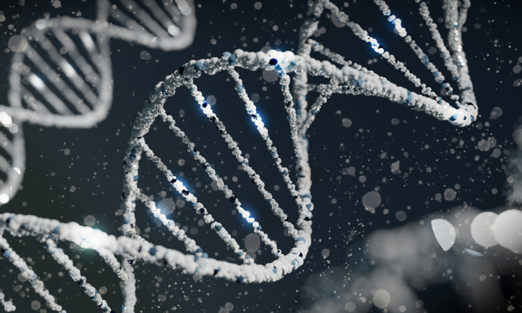 <div class='lum-box'><h4 class='fontColor_blue lum-font-size'>アウトカム開発事業(ニュートリゲノミクスサービス)</h4></div><div class='lum-font-cnt'>企業様の食品素材を用い、細胞への影響をオミクス解析で網羅的に評価するニュートリゲノミクスサービスです。
素材の前処理から解析・解釈まで専門家が対応し、必要に応じて細胞試験や論文作成、学会発表、臨床試験支援まで幅広くサポートいたします。</div>