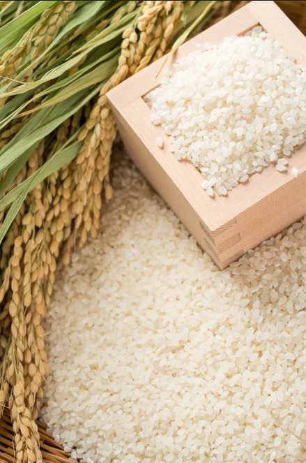 <div class='lum-box'><h4 class='fontColor_blue lum-font-size'>オリザセラミド®</h4></div><div class='lum-font-cnt'>「肌のうるおい」機能性表示食品対応素材。看板商品である米由来のセラミドです。
保湿だけでなく、美白や免疫に関するデータも取得しており、弊社の研究レベルの高さを感じて頂ける製品となっています。
スフィンゴ糖脂質に加え、ヒト型セラミドと同じ化学構造を持つエラスティックアミドも規格化しています。</div>