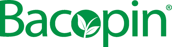 <div class='lum-box'><h4 class='fontColor_blue lum-font-size'>バコパモニエラ抽出物「バコピン」</h4></div><div class='lum-font-cnt'>知恵の草「ブラフミー」として古くから脳機能改善に用いられるハーブ。
1. 神経伝達物質: 記憶と認知に重要なアセチルコリンの脳レベルに影響を与えます
2. 認知: 認知機能を高める抗酸化作用があります。
3. 不安とストレス : 顕著な抗不安作用があり、神経伝達物質セロトニンの脳レベルを調節する。</div>