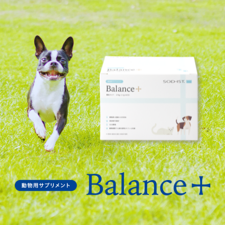 <div class='lum-box'><h4 class='fontColor_blue lum-font-size'>動物用サプリメント バランスプラス</h4></div><div class='lum-font-cnt'>純植物原料に遠赤外線焙煎・発酵・油剤化を施し、消化吸収をスムーズにできるようにした動物用サプリメント。
ペットのさまざまなライフステージに合わせて健康をサポートします。</div>
