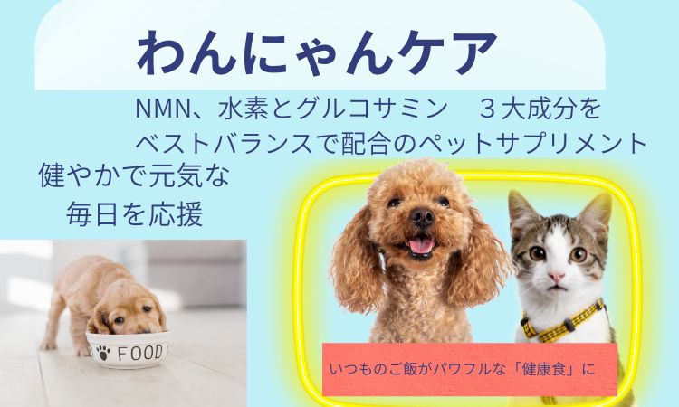 <div class='lum-box'><h4 class='fontColor_blue lum-font-size'>わんにゃんケア　わんちゃん、猫ちやんの健やかで元気な毎日を応援</h4></div><div class='lum-font-cnt'>「わんにゃんケア」は、水素加工サンゴ末やNMNなどを配合した“犬猫兼用の粉末サプリ”で、食事にふりかけるだけで毎日の健康維持をサポート。
腸内環境・関節・ミネラル補給などをまとめてケアできるのが魅力です。
いつものご飯にかけるだけ、 未来を支える4つの成分をバランス配合
詳しくはブースまで</div>
